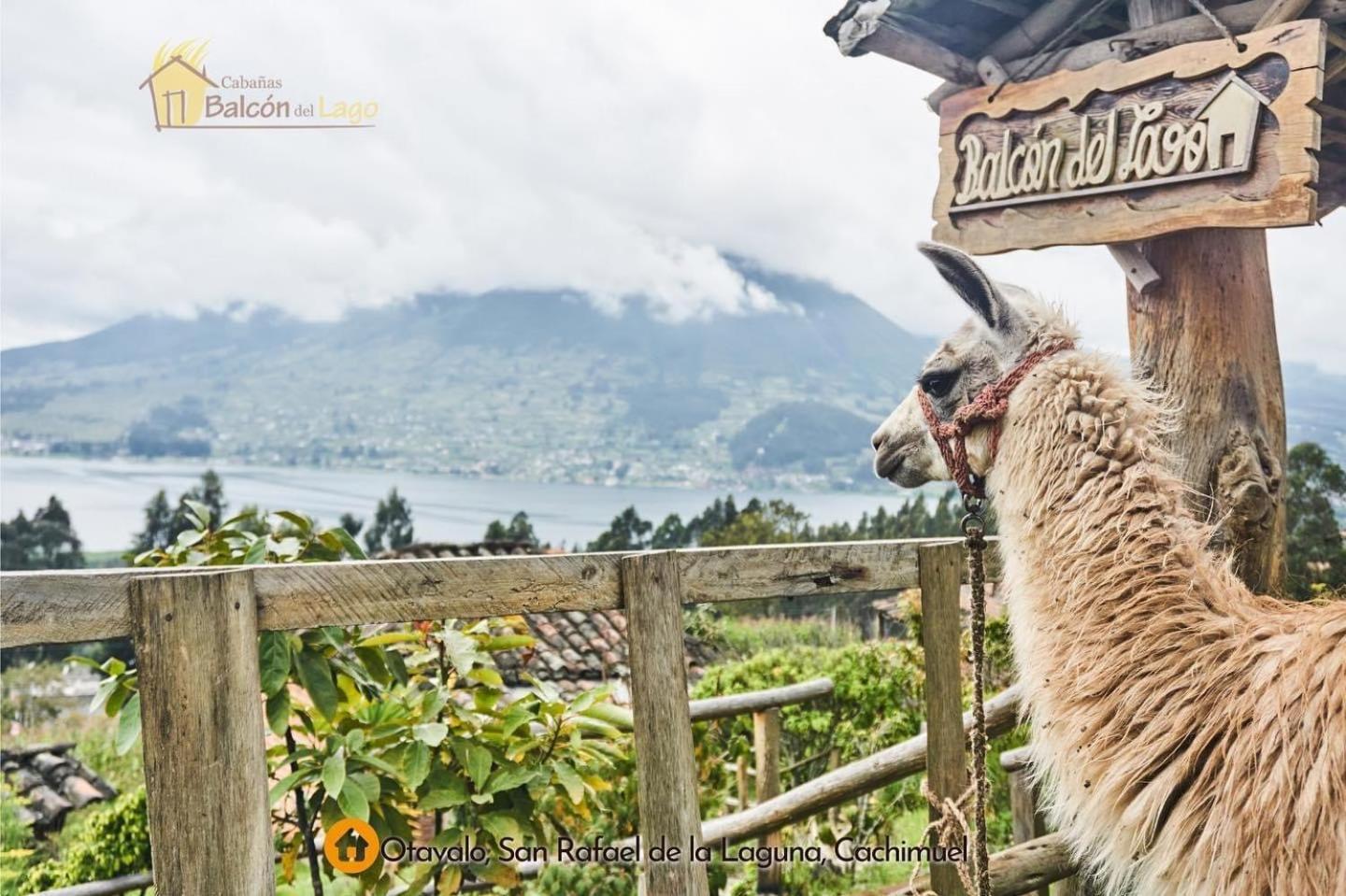 Cabanas Y Glampings Balcon Del Lago Otavalo Exterior photo